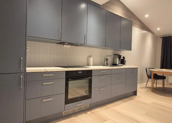 Апартаменты Brygga *